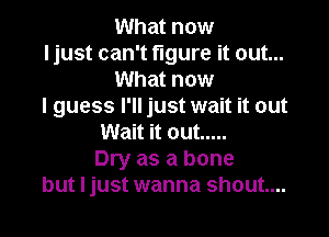 What now

Ijust can't figure it out...
What now

I guess I'll just wait it out

Wait it out .....
Dry as a bone
but I just wanna shout...