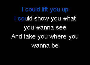 I could lift you up
I could show you what
you wanna see

And take you where you
wanna be