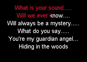What is your sound .....
Will we ever know...
Will always be a mystery .....

What do you say .....
You're my guardian angel...
Hiding in the woods