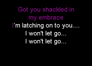 Got you shackled in
my embrace
I'm latching on to you...

I won't let go...
I won't let go...