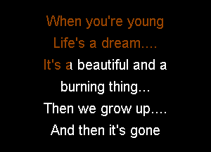 When you're young

Life's a dream...
It's a beautiful and a
burning thing...
Then we grow up....
And then it's gone