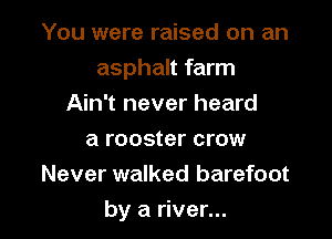 You were raised on an

asphalt farm

Ain't never heard
a rooster crow
Never walked barefoot
by a river...