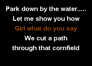 Park down by the water .....
Let me show you how
Girl what do you say

We cut a path
through that cornfield