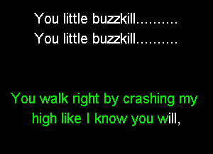 You little buzzkill ..........
You little buzzkill ..........

You walk right by crashing my
high like I know you will,