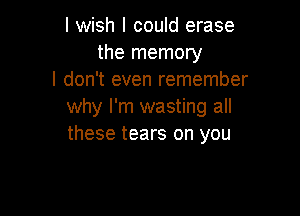 I wish I could erase
the memory
I don't even remember
why I'm wasting all

these tears on you