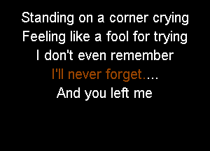 Standing on a corner crying
Feeling like a fool for trying
I don't even remember
I'll never forget...

And you left me