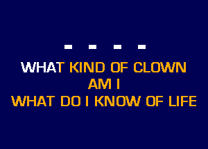 WHAT KIND OF CLOWN

AM I
WHAT DO I KNOW OF LIFE