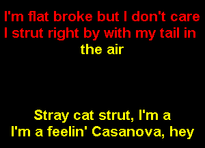 I'm flat broke but I don't care
I strut right by with my tail in
the air

Stray cat strut, I'm a
I'm a feelin' Casanova, hey