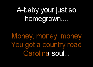 A-baby your just so
homegrown...

Money, money, money
You got a country road
Carolina soul...