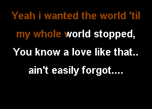 Yeah i wanted the world 'til
my whole world stopped,

You know a love like that.

ain't easily forgot...