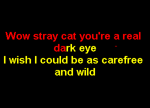 Wow stray cat you're a real
dark eye

lwish I could be as carefree
and wild