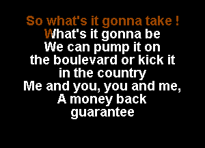 So what's it gonna take !
What's it gonna be
We can pump it on

the boulevard or kick it

in the country

Me and you, you and me,

A money back
guarantee

g