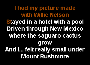 I had my picture made
with Willie Nelson
Stayed in a hotel with a pool
Driven through New Mexico
where the saguaro cactus
grow
And i... felt really small under
Mount Rushmore