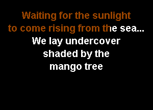 Waiting for the sunlight
to come rising from the sea...
We lay undercover
shaded by the

mango tree