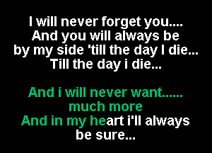 I will never forget you....
And you will always be
by my side 'till the day I die...
Till the day i die...

And i will never want ......
much more
And in my heart i'll always
be sure...