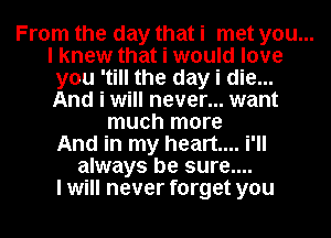 From the day that i met you...
I knew that i would love
you 'till the day i die...
And i will never... want
much more
And in my heart... i'll
always be sure....
I will never forget you