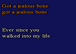 Got a jealous bone
got a jealous bone

Ever since you
walked into my life
