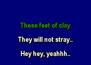 They will not stray..

Hey hey, yeahhh..