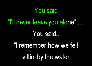 You said
I'll never leave you alone .....
You said.

I remember how we felt

sittin' by the water