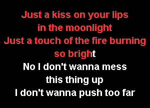 Just a kiss on your lips
in the moonlight
Just a touch of the fire burning
so bright
No I don't wanna mess
this thing up
I don't wanna push too far