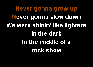 Never gonna grow up
Never gonna slow down
We were shinin' like lighters

in the dark
In the middle of a
rock show