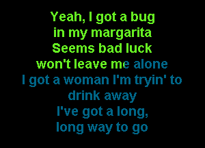 Yeah, I got a bug

in my margarita

Seems bad luck
won't leave me alone

I got a woman I'm tryin' to
drink away
I've got a long,
long way to go