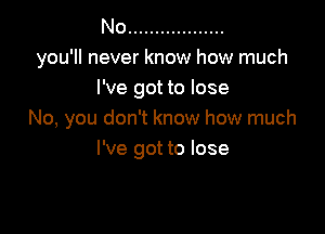 No ..................
you'll never know how much
I've got to lose

No, you don't know how much
I've got to lose