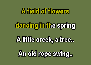 A field of flowers
dancing in the spring

A little creek, a tree..

An old rope swing..