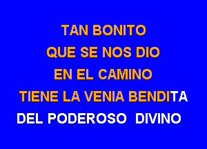 TAN BONITO
QUE SE NOS DIO
EN EL CAMINO
TIENE LA VENIA BENDITA
DEL PODEROSO DIVINO