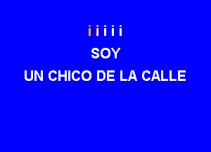 UN CHICO DE LA CALLE