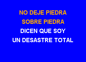 NO DEJE PIEDRA
SOBRE PIEDRA
DICEN QUE SOY

UN DESASTRE TOTAL