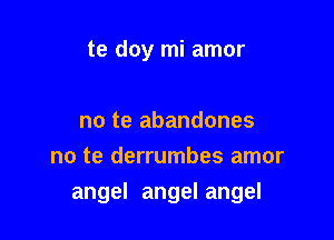 te doy mi amor

no te abandones
no te derrumbes amor

angel angel angel