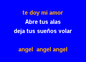 te doy mi amor
Abre tus alas
deja tus suerios volar

angel angel angel