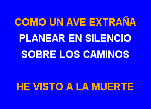 COMO UN AVE EXTRANA
PLANEAR EN SILENCIO
SOBRE LOS CAMINOS

HE VISTO A LA MUERTE