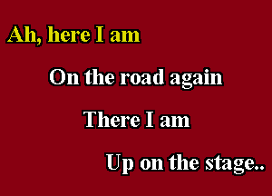 Ah, here I am

On the road again

There I am

Up on the stage..