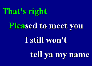 That's right

Pleased to meet you

I still won't

tell ya my name