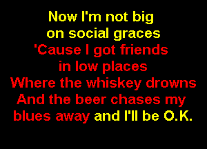 Now I'm not big
on social graces
'Cause I got friends
in low places
Where the whiskey drowns
And the beer chases my
blues away and I'll be O.K.