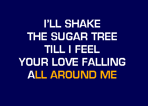 PLL SHAKE
THE SUGAR TREE
TILLI FEEL
YOUR LOVE FALLING
ALL AROUND ME