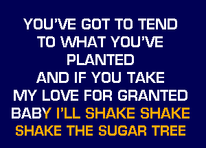 YOU'VE GOT TO TEND
T0 WHAT YOU'VE
PLANTED
AND IF YOU TAKE
MY LOVE FOR GRANTED

BABY I'LL SHAKE SHAKE
SHAKE THE SUGAR TREE