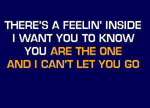 THERE'S A FEELIM INSIDE
I WANT YOU TO KNOW
YOU ARE THE ONE
AND I CAN'T LET YOU GO