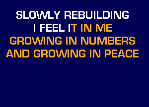 SLOWLY REBUILDING
I FEEL IT IN ME
GROWING IN NUMBERS
AND GROWING IN PEACE
