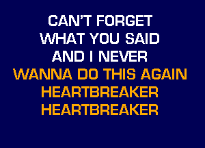 CAN'T FORGET
WHAT YOU SAID
AND I NEVER
WANNA DO THIS AGAIN
HEARTBREAKER
HEARTBREAKER