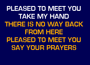 PLEASED TO MEET YOU
TAKE MY HAND
THERE IS NO WAY BACK
FROM HERE
PLEASED TO MEET YOU
SAY YOUR PRAYERS