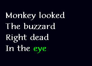 Monkey looked
The buzza rd

Right dead
In the eye