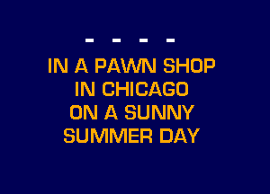 IN A FAWN SHOP
IN CHICAGO

ON A SUNNY
SUMMER DAY
