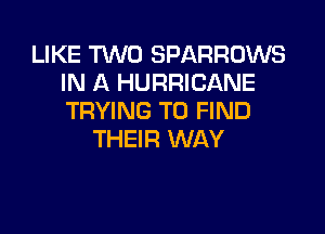 LIKE TWO SPARRDWS
IN A HURRICANE
TRYING TO FIND

THEIR WAY