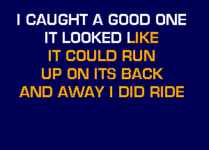 I CAUGHT A GOOD ONE
IT LOOKED LIKE
IT COULD RUN
UP ON ITS BACK
AND AWAY I DID RIDE