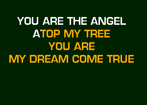 YOU ARE THE ANGEL
ATOP MY TREE
YOU ARE
MY DREAM COME TRUE