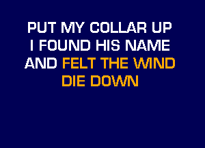 PUT MY COLLAR UP
I FOUND HIS NAME
AND FELT THE WIND
DIE DOWN