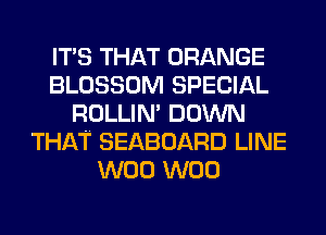 ITS THAT ORANGE
BLOSSOM SPECIAL
ROLLIN' DOWN
THAT SEABOARD LINE
W00 W00